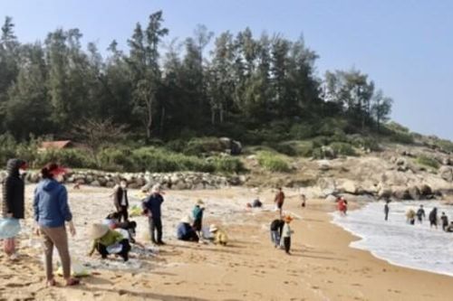 Hà Tĩnh: Người dân kéo nhau vớt 'lộc biển' đầu năm