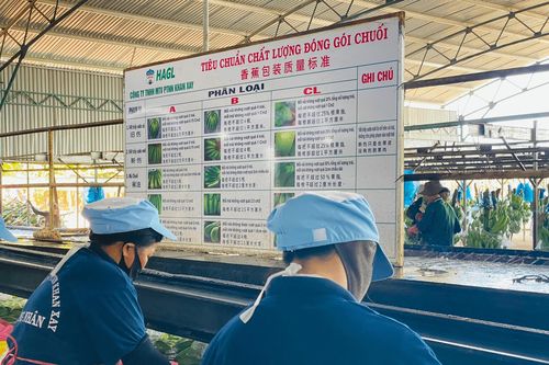 Dư nợ trái phiếu Hoàng Anh Gia Lai giảm 10%, còn hơn 5.700 tỷ đồng