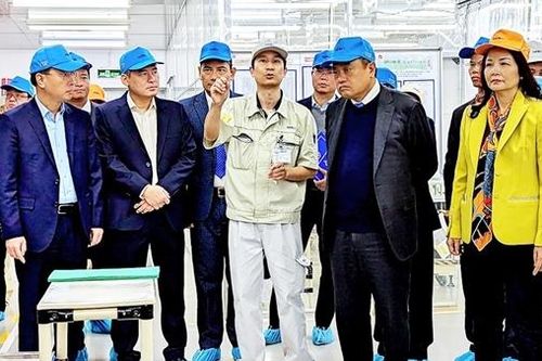 Chủ tịch TP Hà Nội thăm, động viên các đơn vị sản xuất đầu năm
