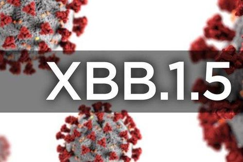 Làm thế nào để biết bạn nhiễm biến thể XBB, XBB.1.5 hay BA.5?