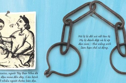 Mặt tối của thám hiểm
