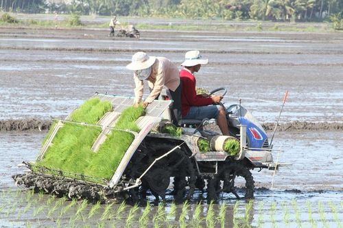 Một số chính sách có hiệu lực trong tháng 2-2023