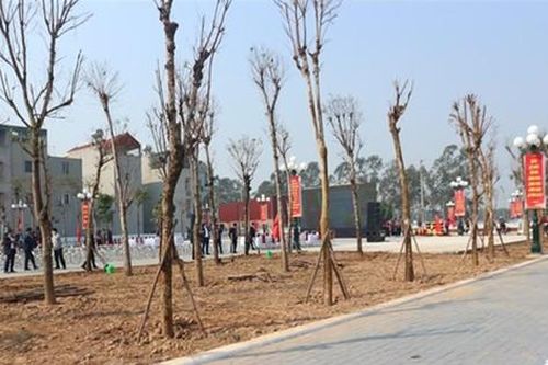 Xây nhiều tiểu công viên, vườn hoa trên đất công vừa thu hồi
