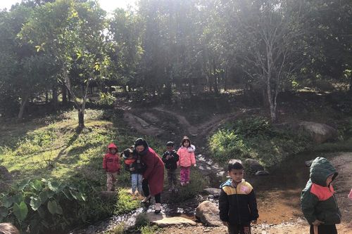 Giáo viên miền núi 'tung chiêu', vận động học sinh quay lại trường