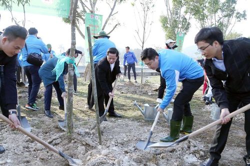 Tỉnh đoàn, hội Doanh nhân trẻ Nghệ An trồng hơn 5000 cây xanh hưởng ứng Tết trồng cây 2023