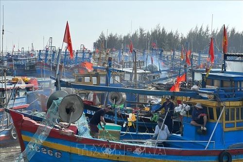 Ngư dân hối hả xuất bến đầu năm