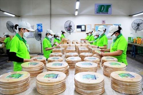 Phát triển kinh tế vùng Đông Nam bộ: Xu hướng kinh tế xanh bền vững