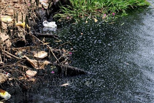 Đắk Nông: Xử phạt hàng trăm triệu đồng cơ sở chăn nuôi gây ô nhiễm