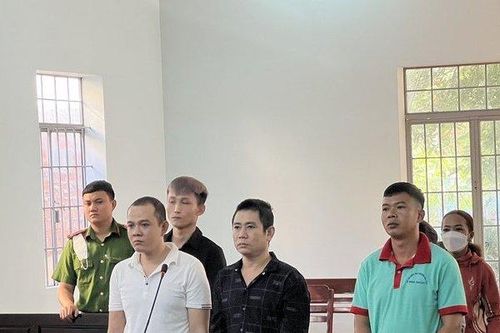 Bình Thuận: Nhóm trộm cắp, tiêu thụ tài sản lãnh án tù