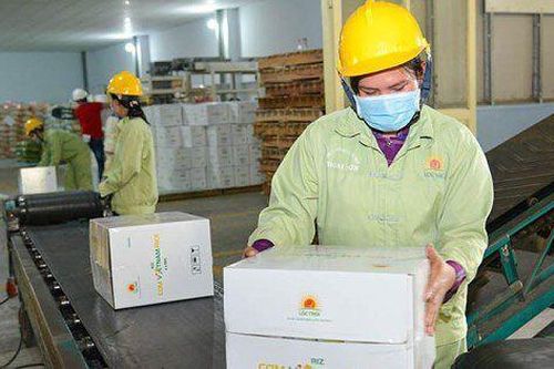 Lộc Trời (LTG): Lãi quý IV/2022 vượt ba quý đầu cộng lại