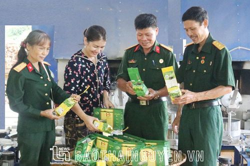 Người cựu chiến binh tâm huyết với chè Sơn Cẩm