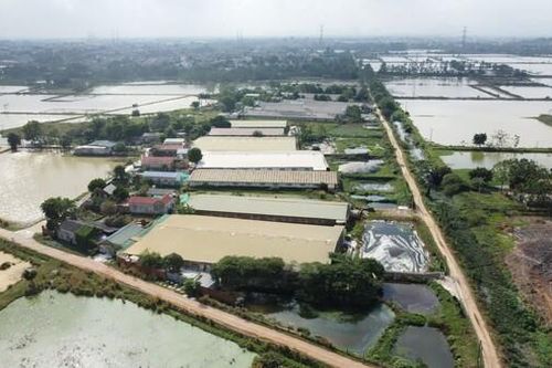 Chương Mỹ: Công ty CJ ViNa Agri ký hợp đồng với trang trại không đảm bảo về môi trường (Bài 2)