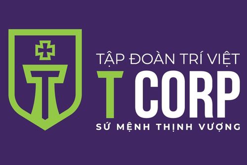 Trí Việt (TVC) lần đầu thua lỗ, khoản đầu tư 900 tỷ đồng vào HPG âm 30%