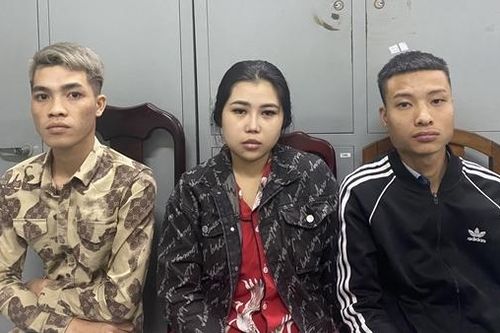 Thuê căn hộ để bay lắc và bán ma túy