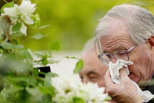 Mùa xuân người viêm mũi dị ứng cần lưu ý những điều sau