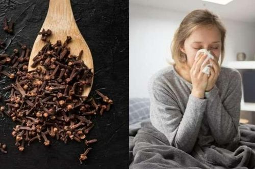 Lợi ích của đinh hương trong việc ngăn ngừa bệnh cúm mùa