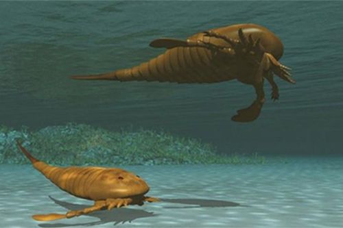 Kinh ngạc bọ cạp thủy quái 'hiện nguyên hình' sau hơn 300 triệu năm
