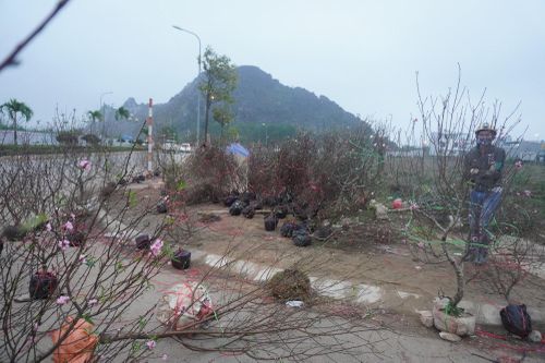 Không đơn thuần là vứt bỏ...
