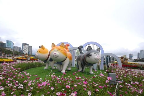 Đà Nẵng tặng lại dàn linh vật mèo tại đường hoa xuân cho các trường mầm non