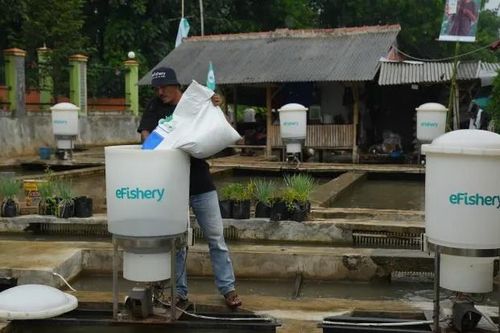 Các công ty khởi nghiệp góp công phát triển ngành nuôi hải sản Indonesia