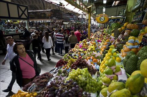 IMF cảnh báo tăng trưởng chậm lại sẽ khiến mức sống tại Mỹ Latinh sụt giảm