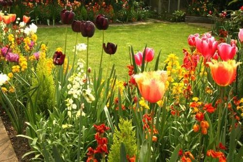 Những ý tưởng trang trí sân vườn sáng tạo trong mùa xuân