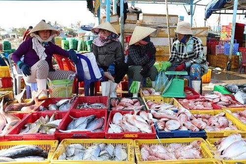Hà Tĩnh: Sau Tết, mặt hàng hải sản tươi sống tăng cao