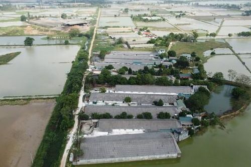 Chương Mỹ - Hà Nội: Nhiều trang trại gây ô nhiễm là đối tác của C.P Việt Nam (Bài 3)