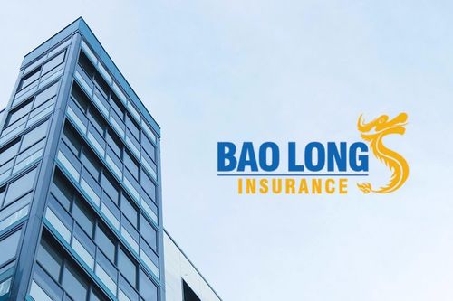 Lợi nhuận không bù được chi phí, Bảo hiểm Bảo Long lỗ gần 53 tỷ đồng một quý