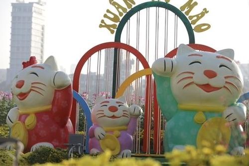 Đà Nẵng tiếp tục tặng linh vật mèo các điểm trường vùng xa