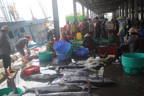 Ngư dân Khánh Hòa trúng lộc biển đầu năm