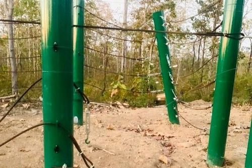 Đàn voi rừng phá hàng rào điện trung tâm bảo tồn động vật