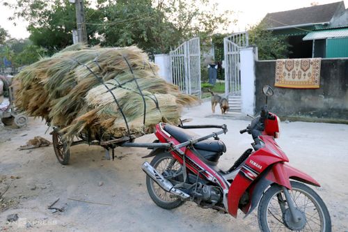 Nỗi lo khi mùa đót về