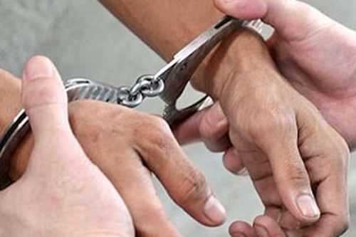 Bắt tạm giam nguyên Viện trưởng Viện Nghiên cứu và Phát triển SENA