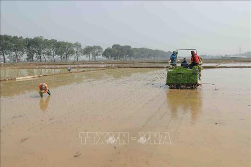 Tranh thủ thời tiết thuận lợi, nông dân xuống đồng lấy nước, làm đất
