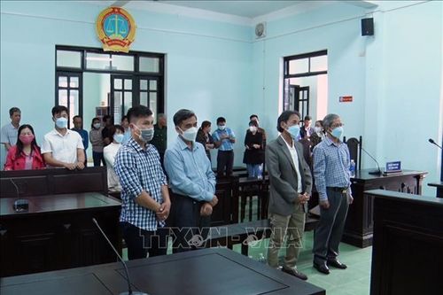 Xử phạt hai cựu lãnh đạo UBND huyện Đăk Hà (Kon Tum) về vi phạm trong quản lý đất đai