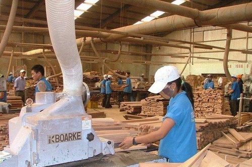 Vinafor hoàn thành kế hoạch 2022 nhờ khoản thu từ các công ty liên kết
