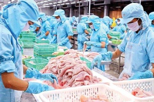 Nam Việt tiếp tục thay đổi lịch trả cổ tức năm 2021