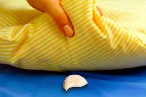 Lý do ai cũng nên đặt 1 tép tỏi dưới gối trước khi ngủ ngay ngày hôm nay- thật thần kỳ