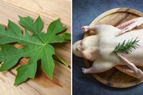Tưới thứ này lên con vịt, vặt sạch lông măng cực dễ lại còn khử hôi hiệu quả