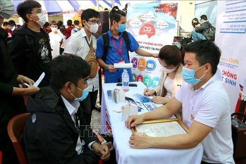 Tp.Hồ Chí Minh mở sàn giao dịch việc làm trực tiếp và trực tuyến