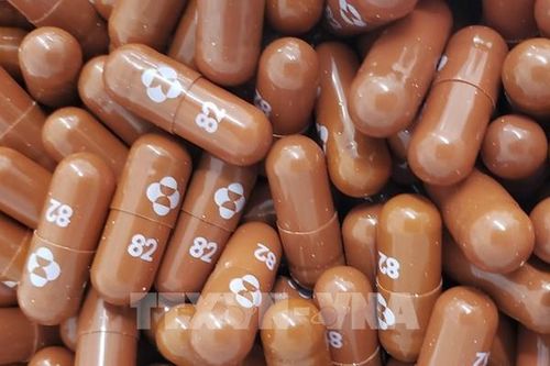 'Cú hích' cho các hãng dược toàn cầu từ dịch COVID-19 sắp kết thúc