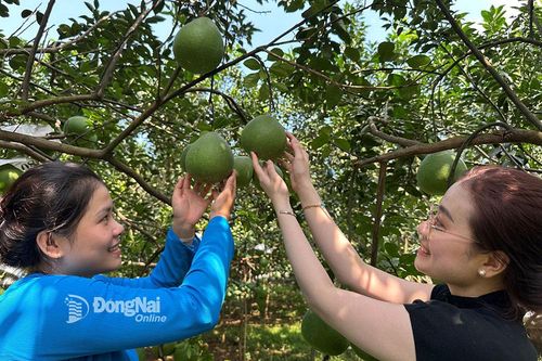 Bảo vệ môi trường trong sản xuất nông nghiệp