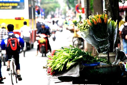 Hương của phố