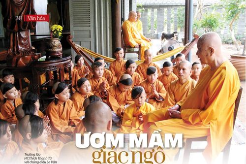 Ươm mầm giác ngộ