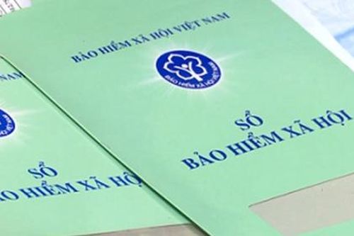 Thừa Thiên - Huế: 3 doanh nghiệp bị phạt hơn 500 triệu đồng do chậm đóng bảo hiểm