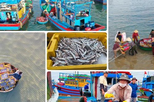 Sôi động chợ cá tháng Giêng