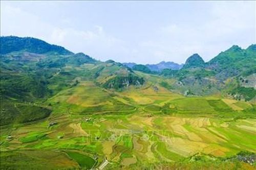 Ngời lên màu xanh bất tận