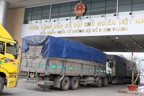 Xuất khẩu dược liệu sang thị trường Trung Quốc phải đăng ký