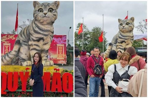 Hậu Tết số phận 'hoa hậu mèo' Quảng Trị ra sao?